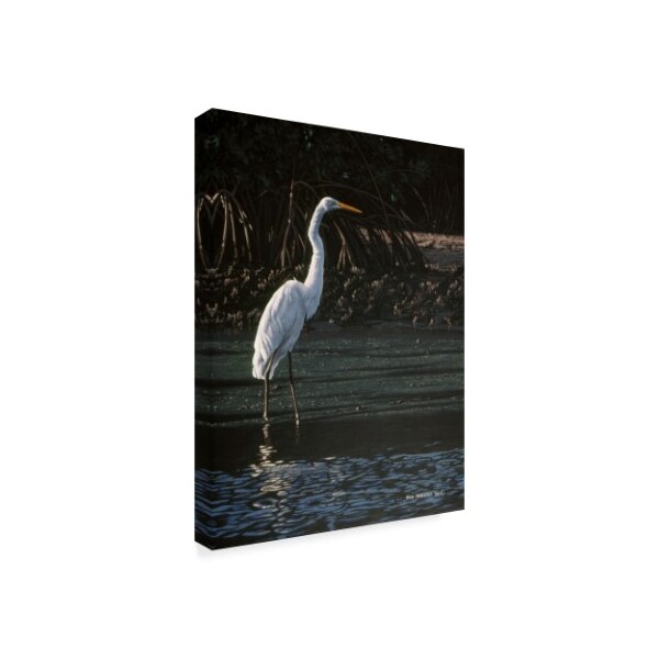 Ron Parker 'Great Egret' Canvas Art,24x32